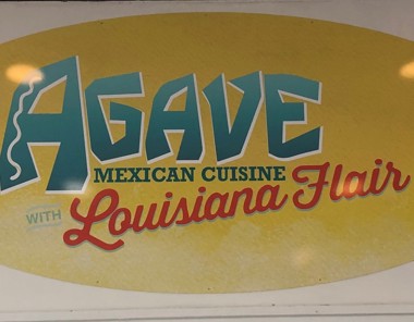 Agave - Louisiana Flair